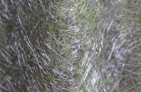 Woodhouse Mill fibreglass roof work